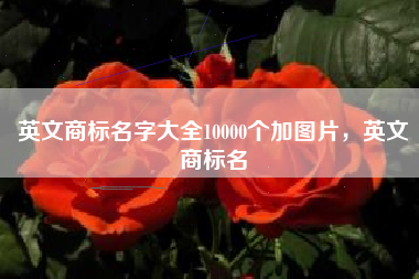英文商标名字大全10000个加图片，英文商标名