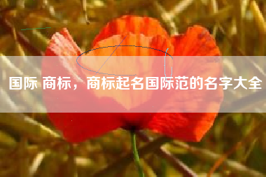 国际 商标，商标起名国际范的名字大全