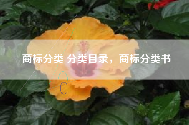 商标分类 分类目录，商标分类书