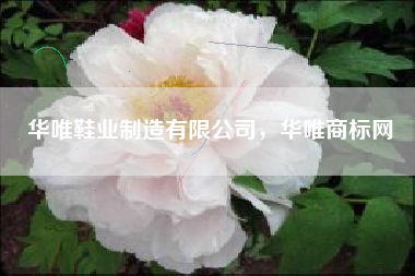 华唯鞋业制造有限公司，华唯商标网
