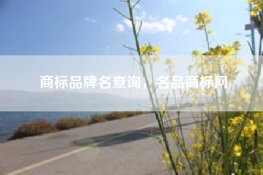 商标品牌名查询，名品商标网