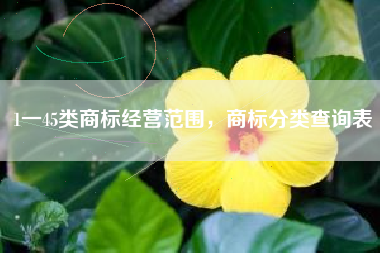 1一45类商标经营范围，商标分类查询表