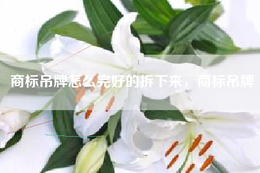 商标吊牌怎么完好的拆下来，商标吊牌