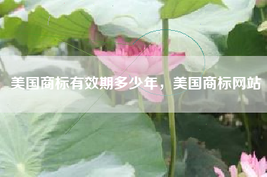 美国商标有效期多少年，美国商标网站