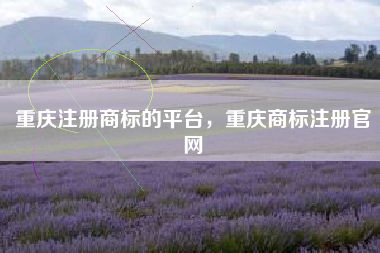 重庆注册商标的平台，重庆商标注册官网