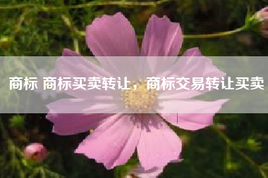 商标 商标买卖转让，商标交易转让买卖