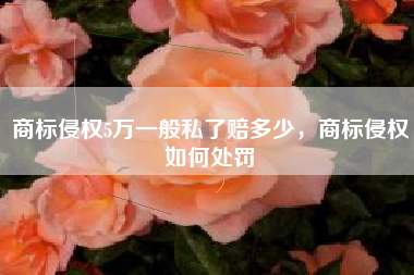 商标侵权5万一般私了赔多少，商标侵权如何处罚