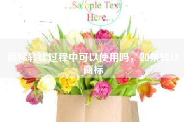 商标转让过程中可以使用吗，如果转让商标