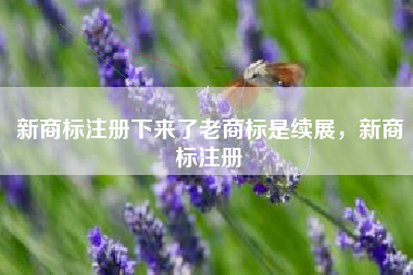 新商标注册下来了老商标是续展，新商标注册
