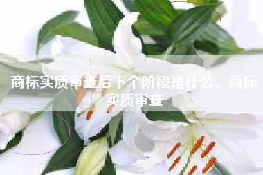商标实质审查后下个阶段是什么，商标实质审查