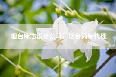烟台标志设计公司，烟台商标代理