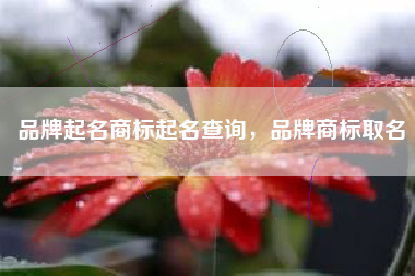 品牌起名商标起名查询，品牌商标取名