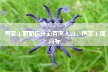国家工商商标查询官网入口，国家工商商标