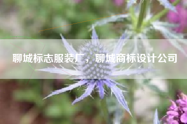 聊城标志服装厂，聊城商标设计公司