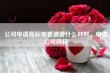 公司申请商标需要准备什么材料，申请公司商标