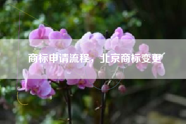 商标申请流程，北京商标变更