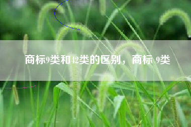 商标9类和42类的区别，商标 9类