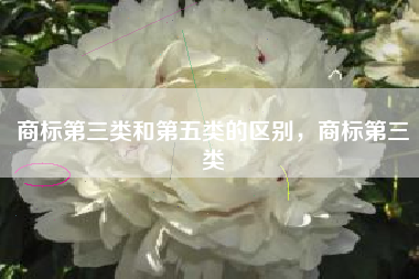 商标第三类和第五类的区别，商标第三类