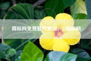 商标网免费官方查询，22商标网