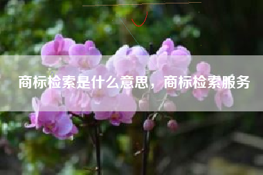 商标检索是什么意思，商标检索服务