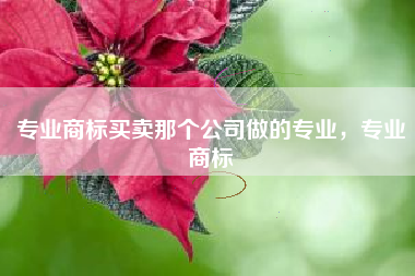 专业商标买卖那个公司做的专业，专业商标