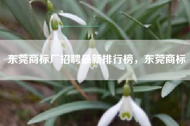 东莞商标厂招聘最新排行榜，东莞商标