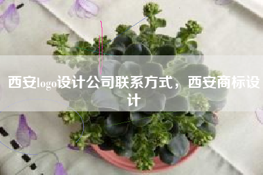 西安logo设计公司联系方式，西安商标设计