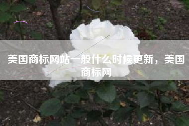 美国商标网站一般什么时候更新，美国商标网