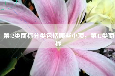 第42类商标分类包括哪些小项，第42类商标