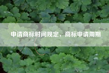 申请商标时间规定，商标申请周期