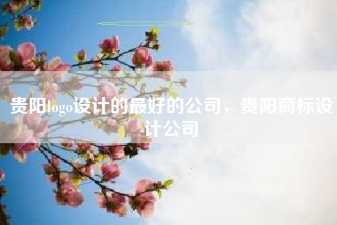 贵阳logo设计的最好的公司，贵阳商标设计公司
