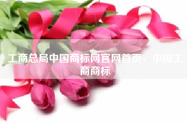 工商总局中国商标网官网首页，中国工商商标