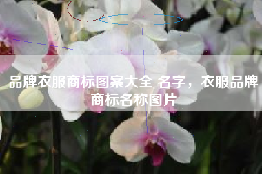 品牌衣服商标图案大全 名字，衣服品牌商标名称图片