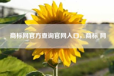 商标网官方查询官网入口，商标 网