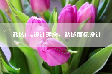 盐城logo设计理念，盐城商标设计