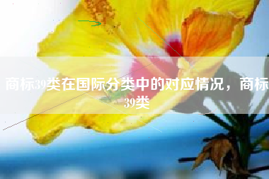 商标39类在国际分类中的对应情况，商标39类