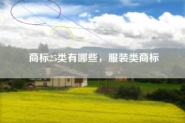 商标25类有哪些，服装类商标