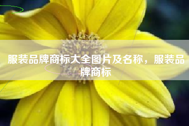 服装品牌商标大全图片及名称，服装品牌商标