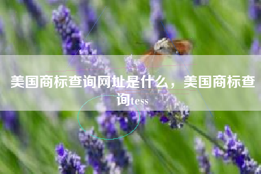 美国商标查询网址是什么，美国商标查询tess