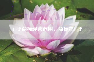 15类商标经营范围，商标第15类