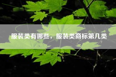 服装类有哪些，服装类商标第几类