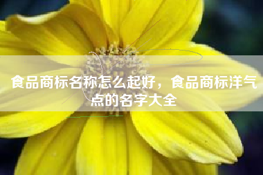 食品商标名称怎么起好，食品商标洋气点的名字大全