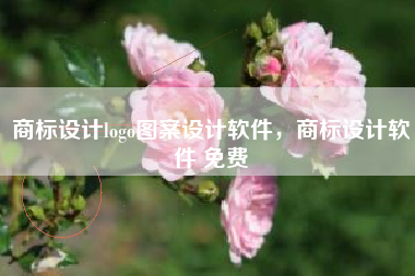 商标设计logo图案设计软件，商标设计软件 免费