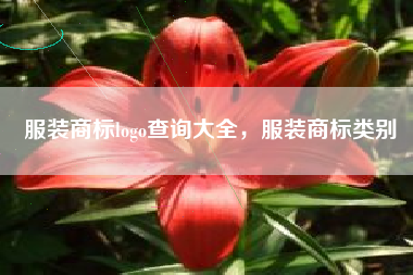 服装商标logo查询大全，服装商标类别