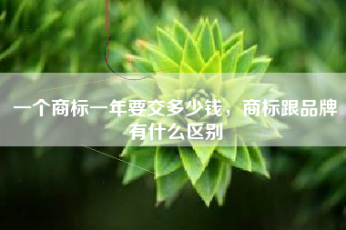 一个商标一年要交多少钱，商标跟品牌有什么区别