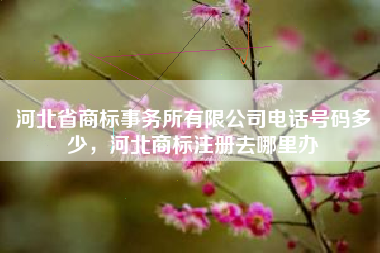 河北省商标事务所有限公司电话号码多少，河北商标注册去哪里办