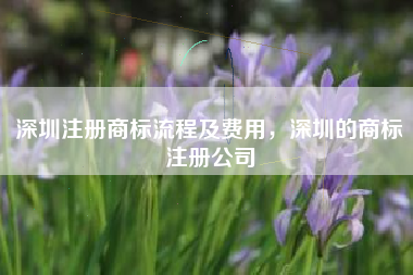 深圳注册商标流程及费用，深圳的商标注册公司