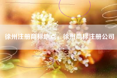 徐州注册商标地点，徐州商标注册公司