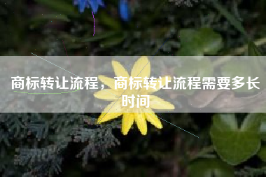 商标转让流程，商标转让流程需要多长时间