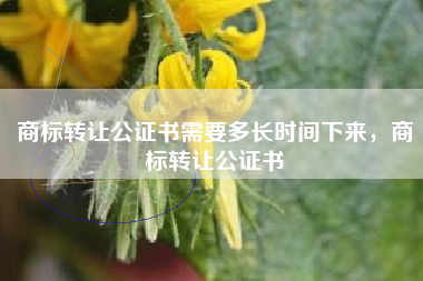 商标转让公证书需要多长时间下来，商标转让公证书
